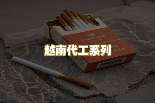 越南代工系列